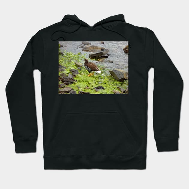 Kelp goose Hoodie by FollowHedgehog